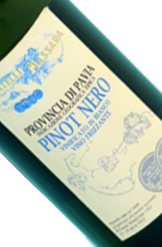 Pinot Nero Vinificato bianco Igt Provincia Pavia
