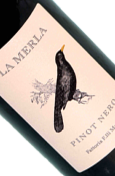 Pinot Nero IGT - La Merla